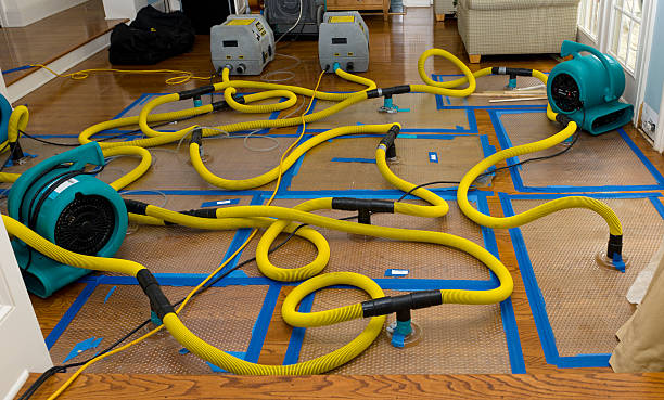 Professional Water Damage Restoration technician working in Big Sandy, TX